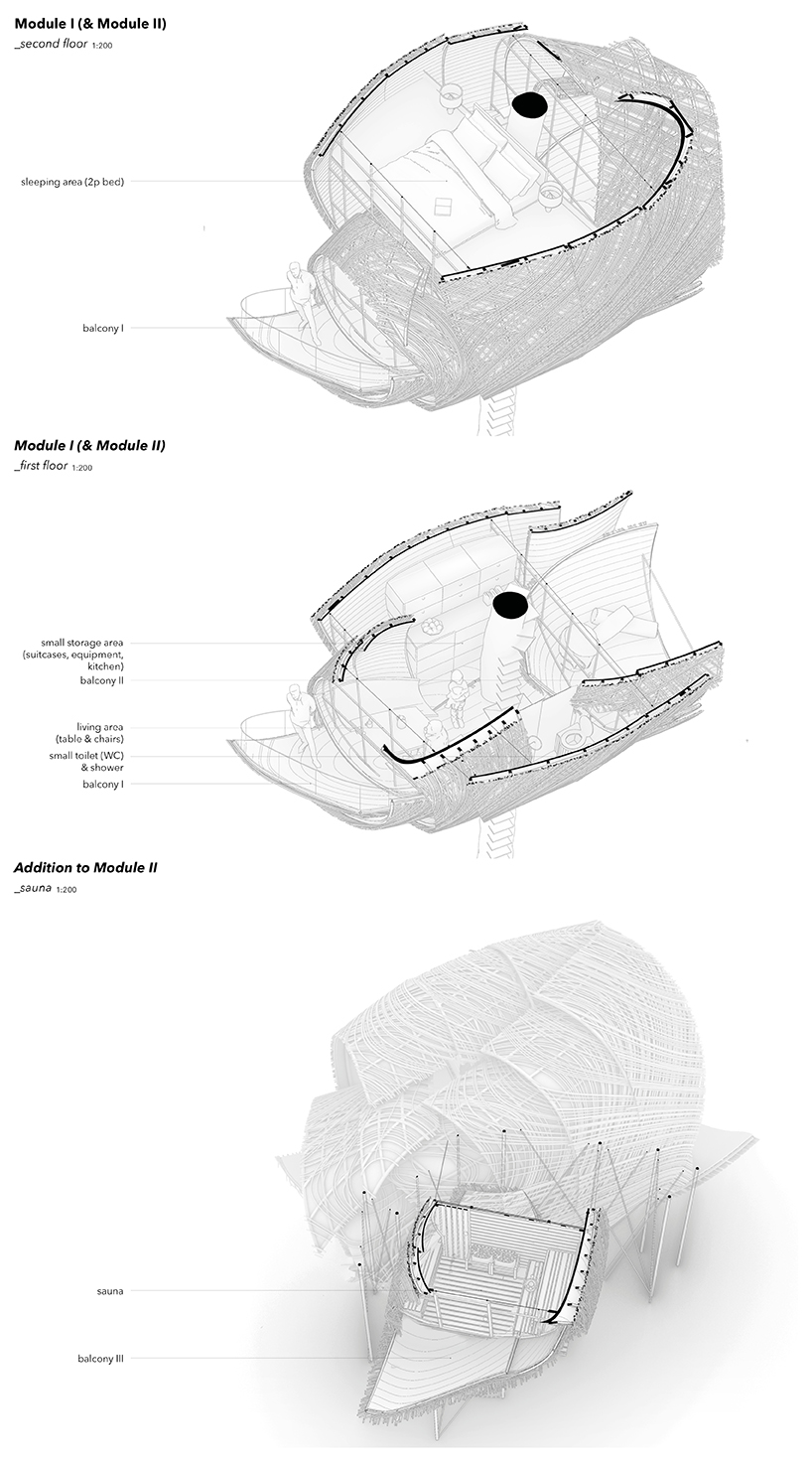 the wasp nest a neglected relationship 6