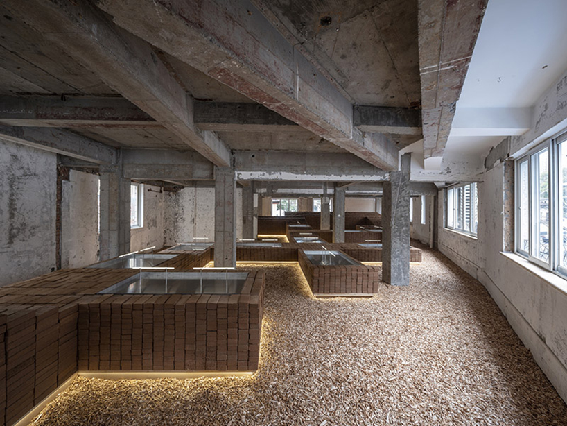 project n 378 by aim architecture an indoor landscape 7