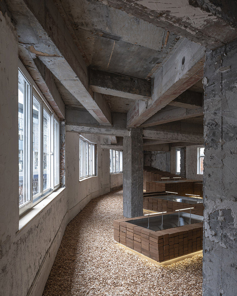 project n 378 by aim architecture an indoor landscape 8