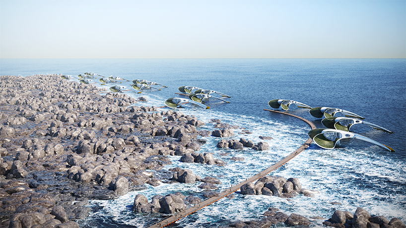 dada responds to biological degradation through floating self-sustaining community