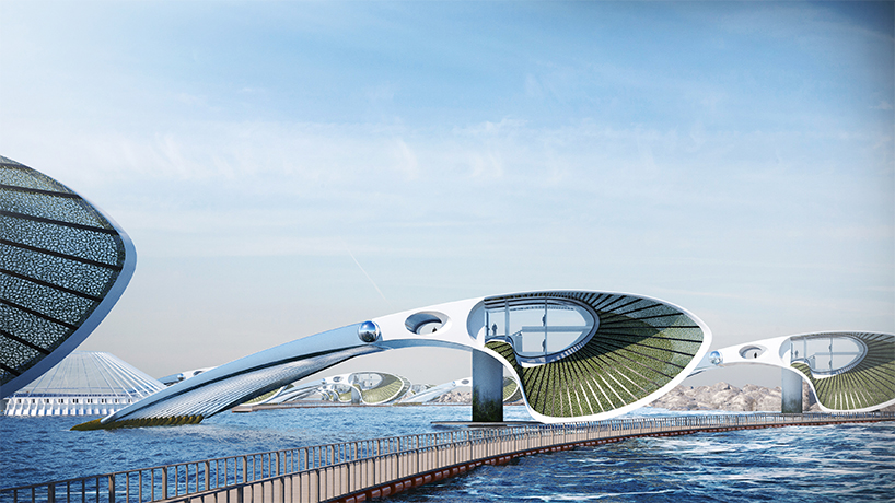 dada responds to biological degradation through floating self-sustaining community