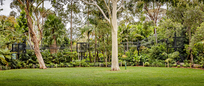 WAX expands monkey exhibit in adelaide zoo with elevated 'sky trail' structure