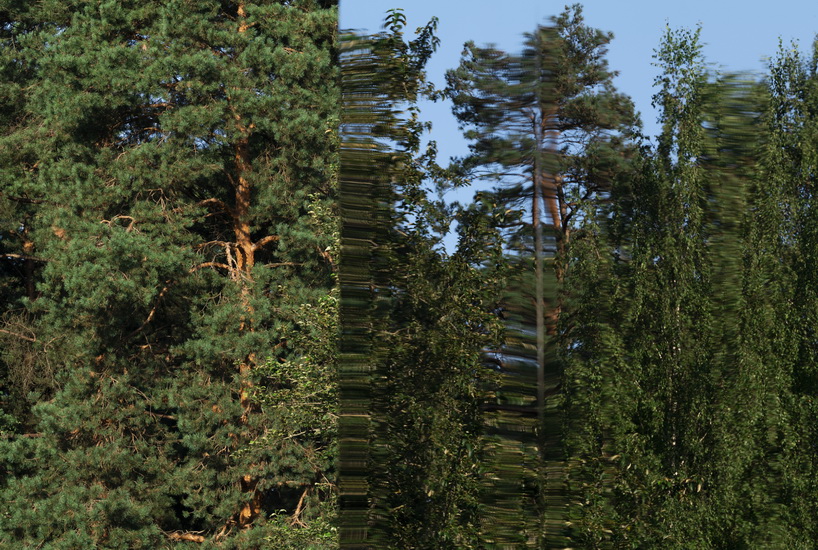 artist gregory orekhov reinterprets the black square in his new work for malevich park located in the moscow region 6