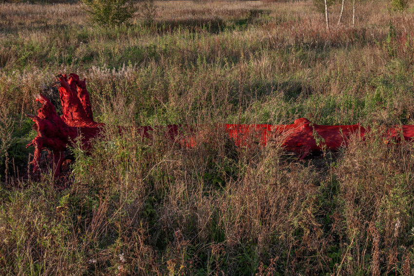 gregory orekhov revives dead spruce tree as vibrant canvas in moscow fields