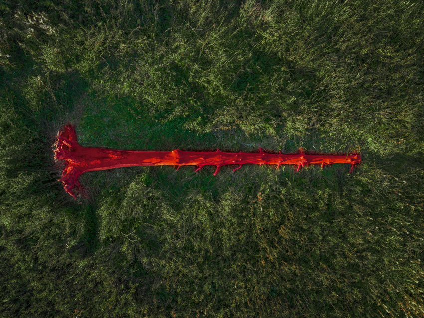 gregory orekhov revives dead spruce tree as vibrant canvas in moscow fields