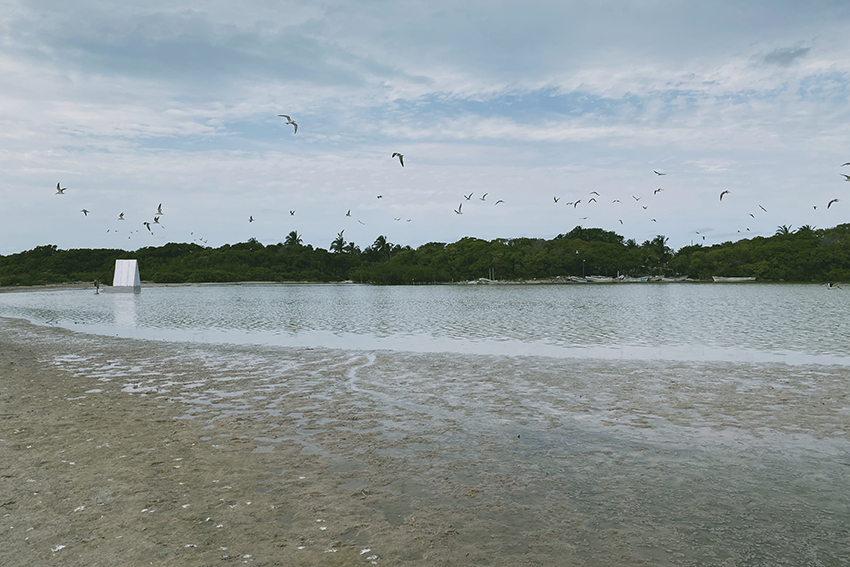 float domestic object for emergency shelter for flooding conditions in yucatan 11