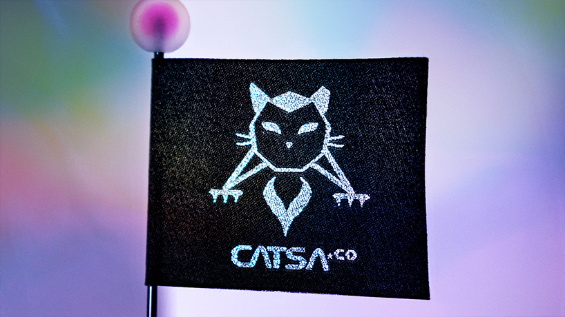 catsa lander mark1 a refined feline escape pod 7