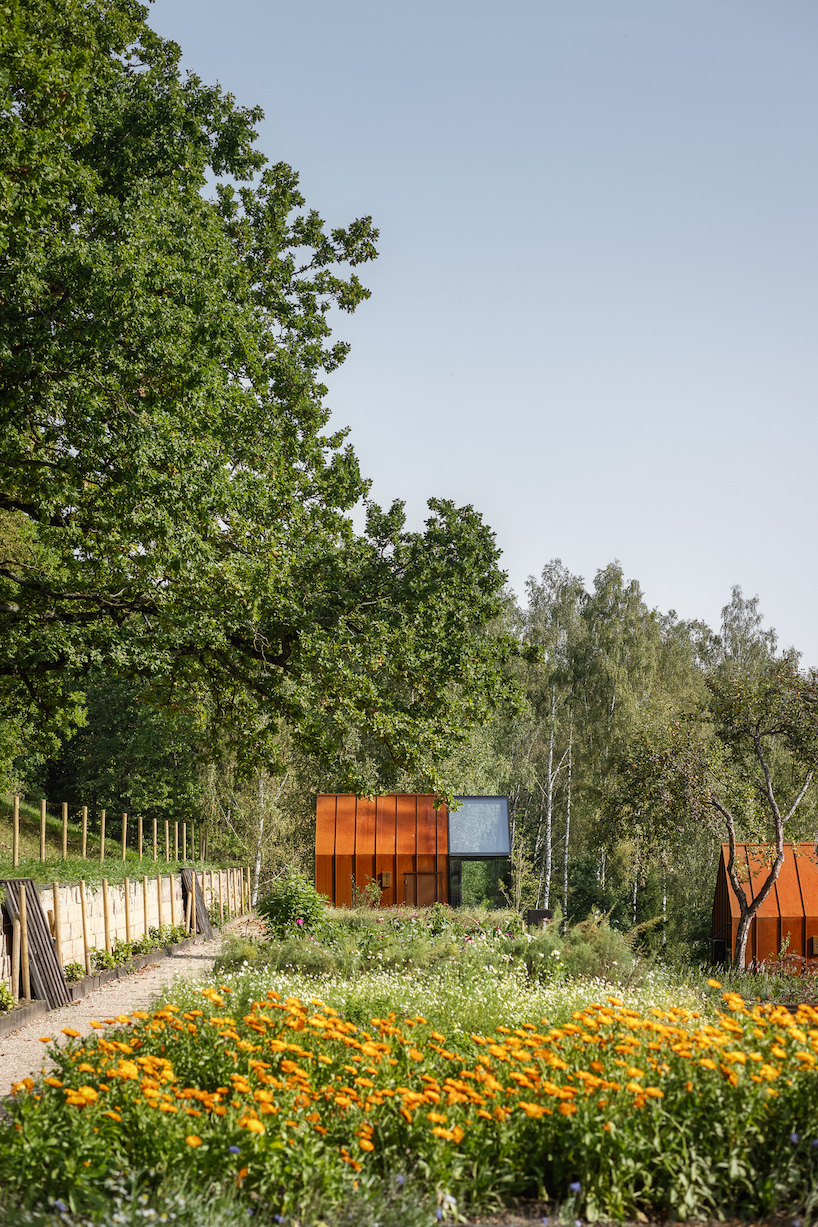 open AD designs three corten steel and glass cabins in rural latvia designboom