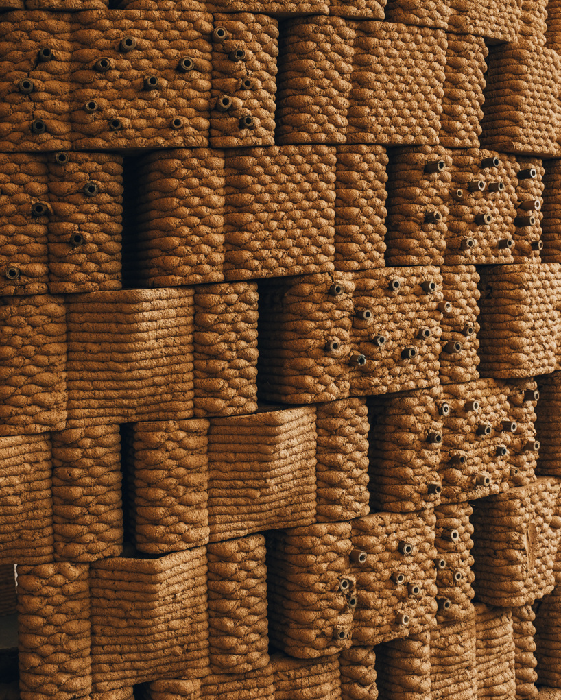 robotically 3d printed earth bricks wrap a multispecies habitat around an olive tree 10