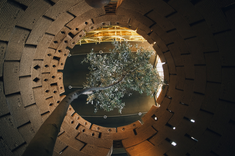 robotically 3d printed earth bricks wrap a multispecies habitat around an olive tree 12