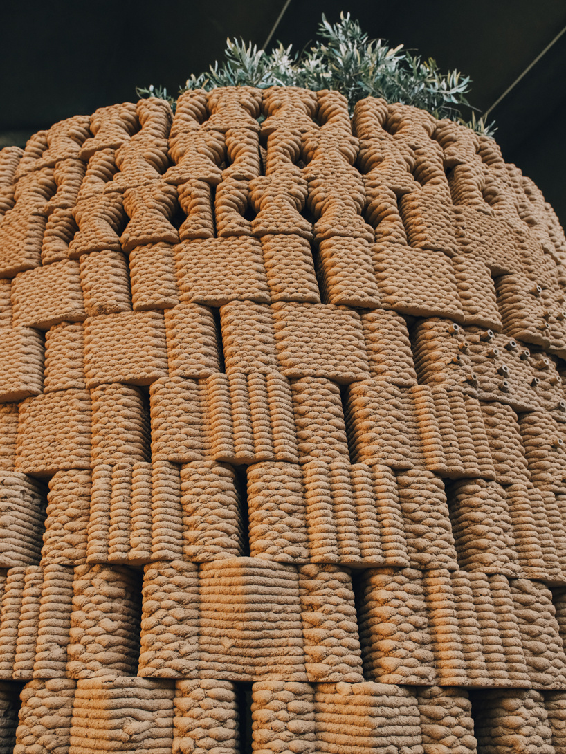 robotically 3d printed earth bricks wrap a multispecies habitat around an olive tree 2