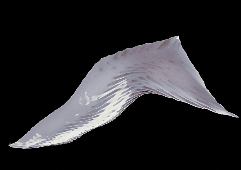 the invisible mountain 5