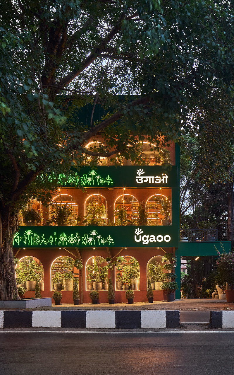 rooted in nature ugaoos flagship store by concept by sowe reimagines retail as sanctuary 1