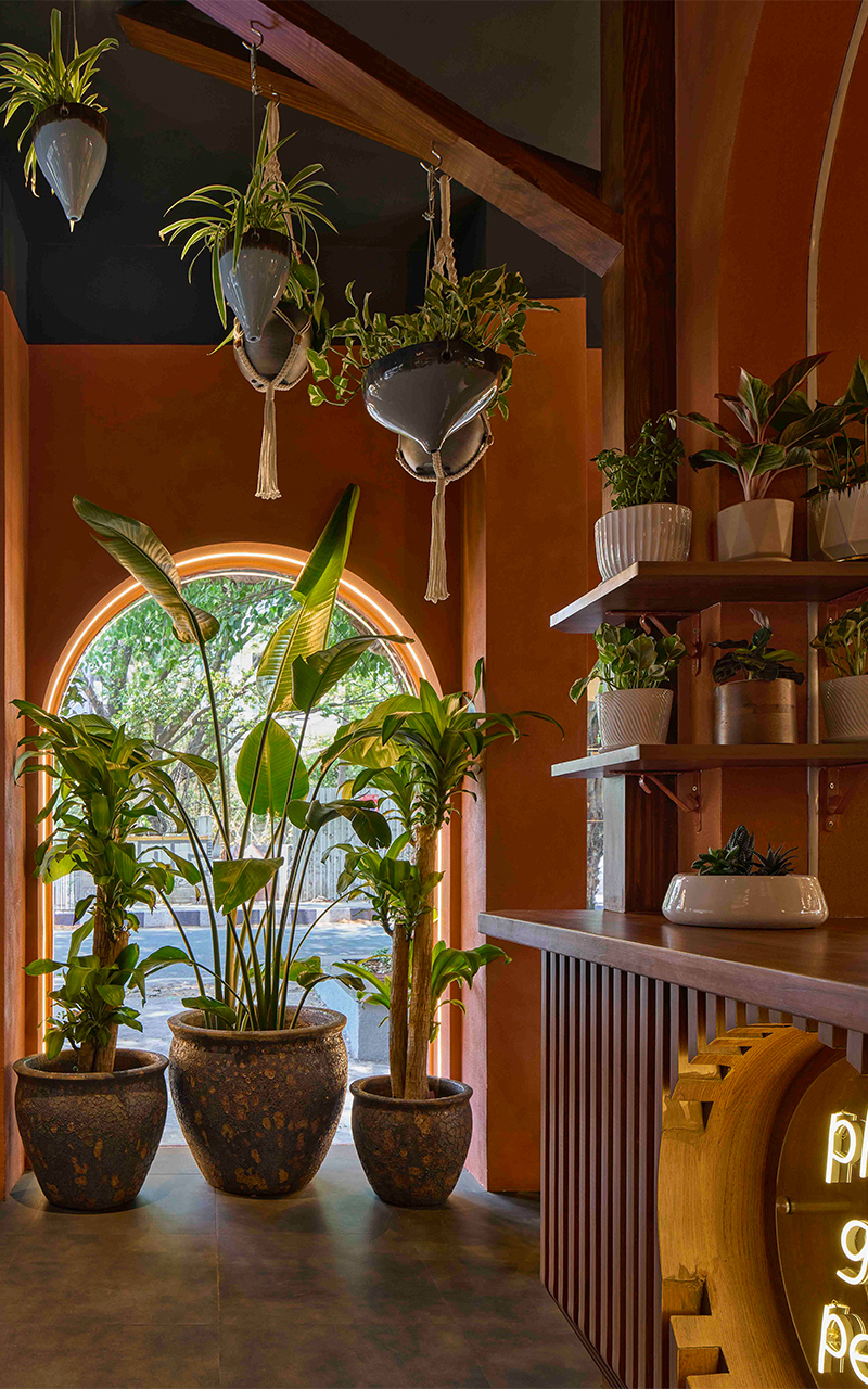 rooted in nature ugaoos flagship store by concept by sowe reimagines retail as sanctuary 4