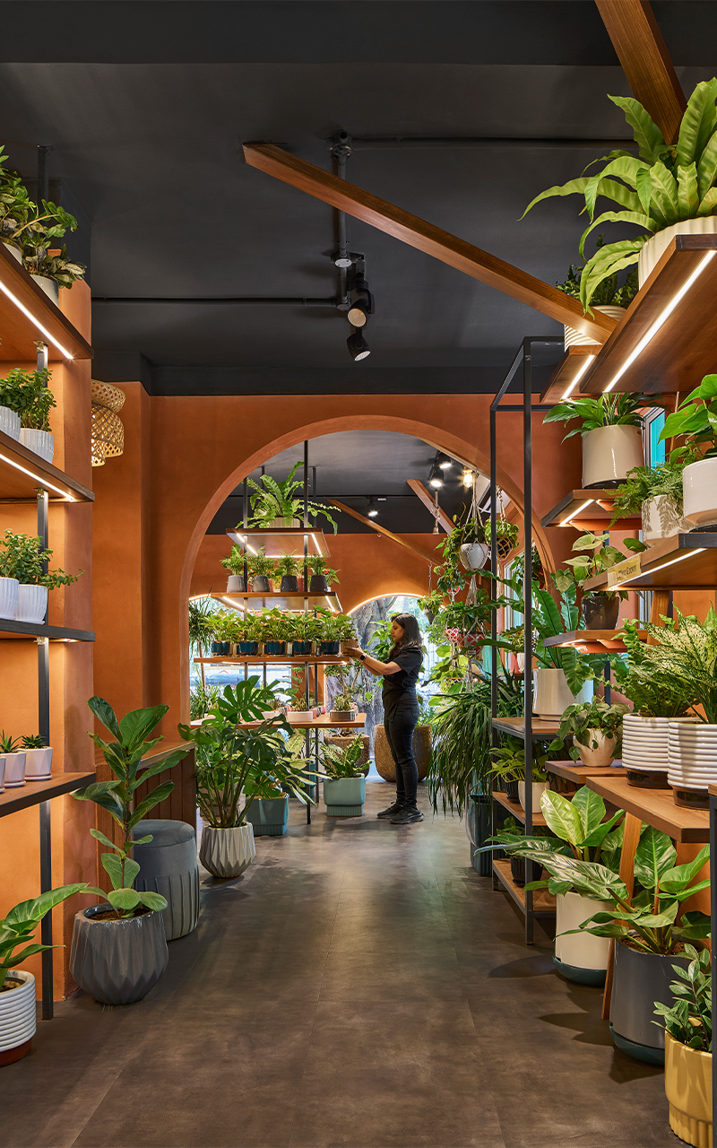 rooted in nature ugaoos flagship store by concept by sowe reimagines retail as sanctuary 5