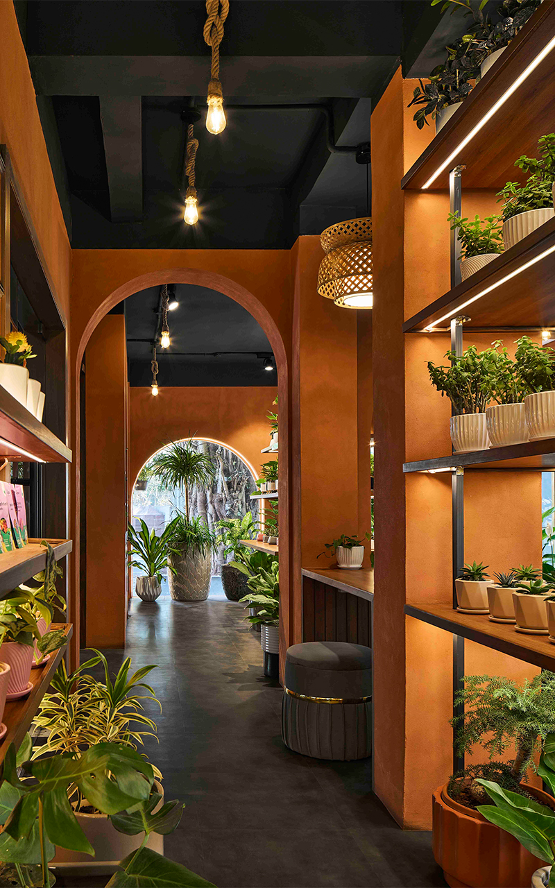rooted in nature ugaoos flagship store by concept by sowe reimagines retail as sanctuary 6