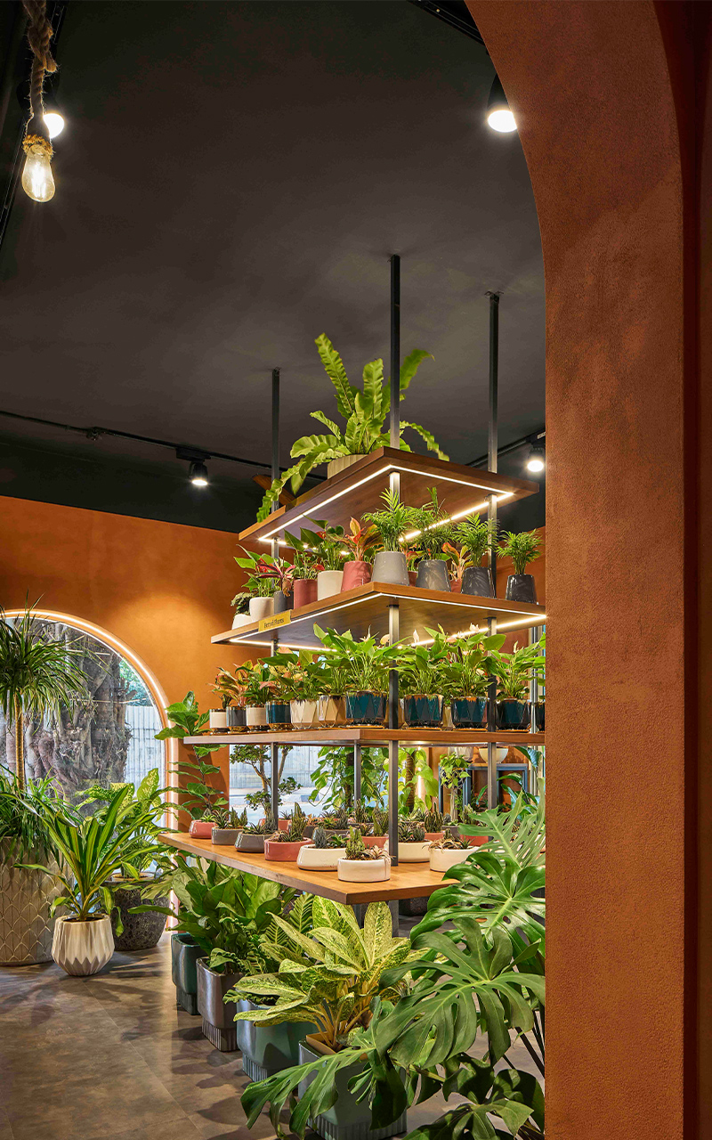 rooted in nature ugaoos flagship store by concept by sowe reimagines retail as sanctuary 7