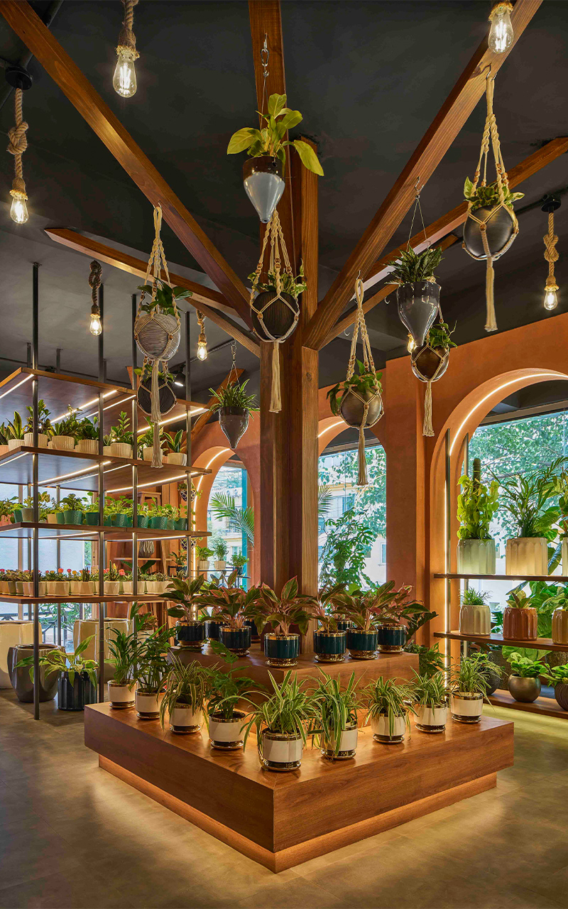 rooted in nature ugaoos flagship store by concept by sowe reimagines retail as sanctuary 8