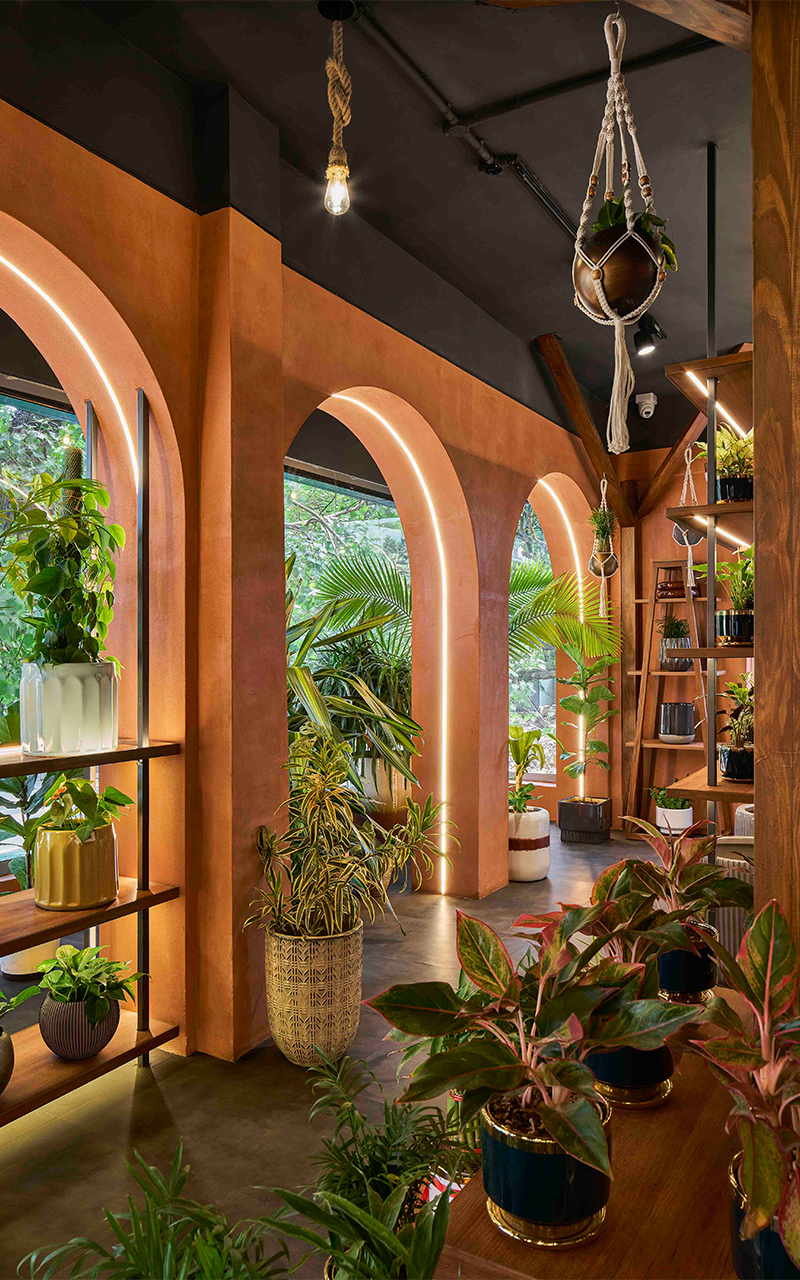 rooted in nature ugaoos flagship store by concept by sowe reimagines retail as sanctuary 9