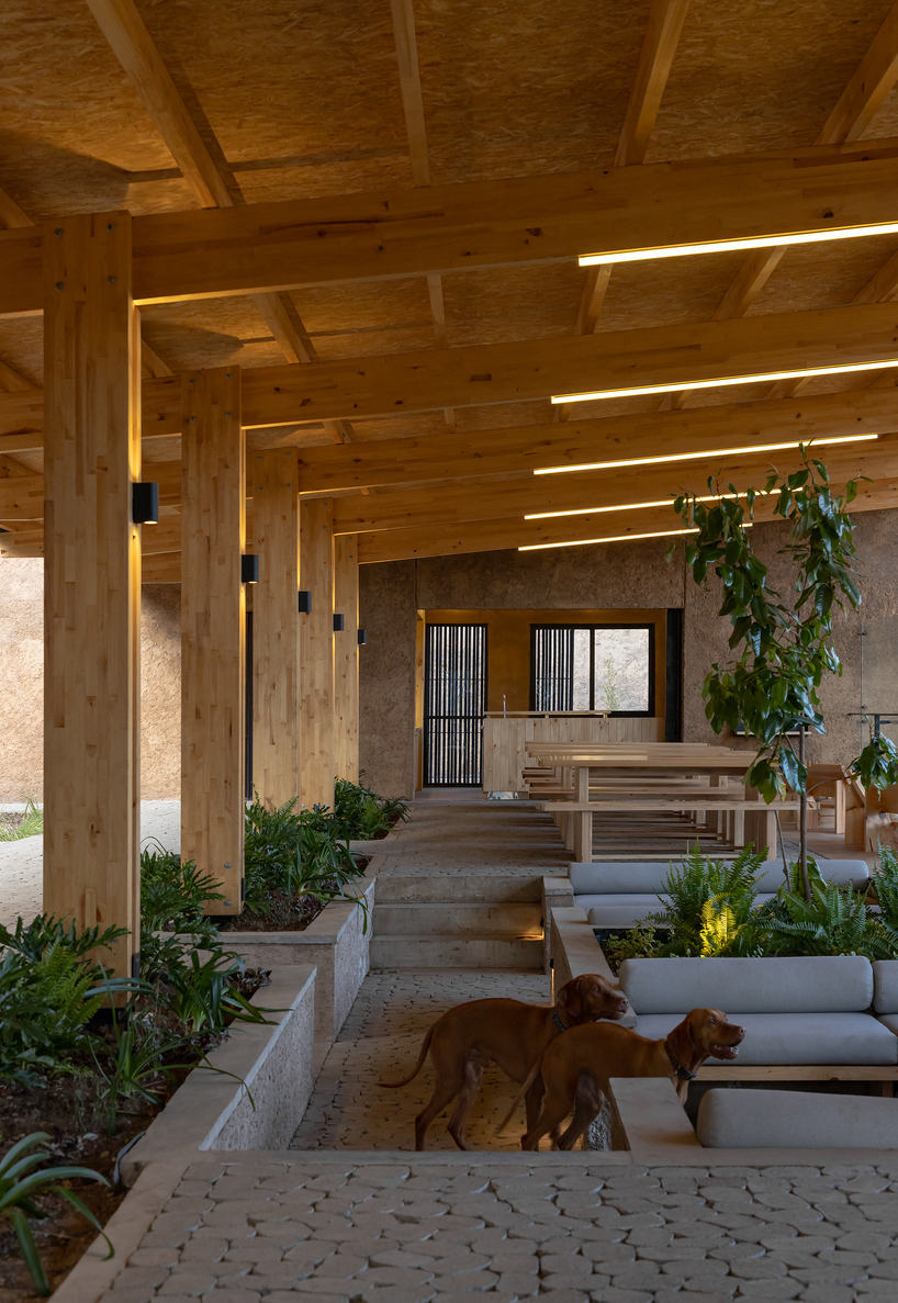 earth-toned concrete bike refuge emerges from ecuador’s reforested landscape - 9