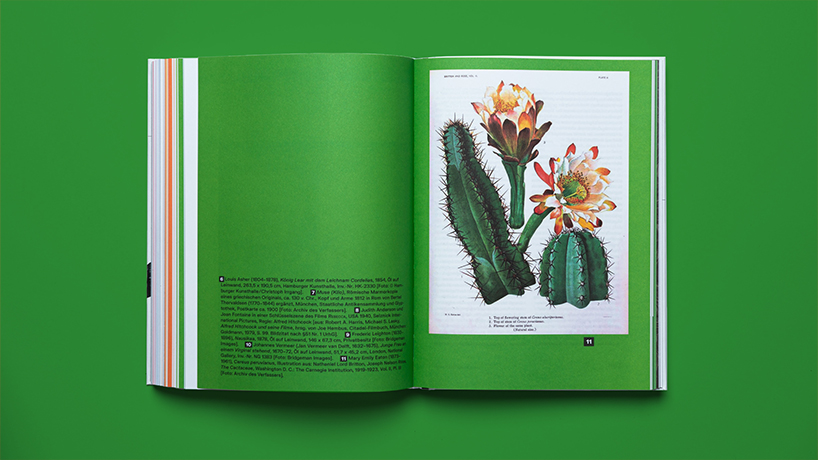 sebastian moock visualizes the history of queer identity with contemporary typology