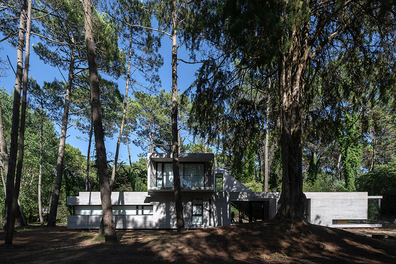 overlapping volumes of concrete and glass compose tucán house in buenos aires