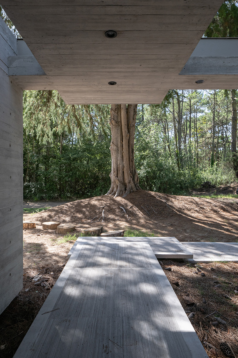 overlapping volumes of concrete and glass compose tucán house in buenos aires