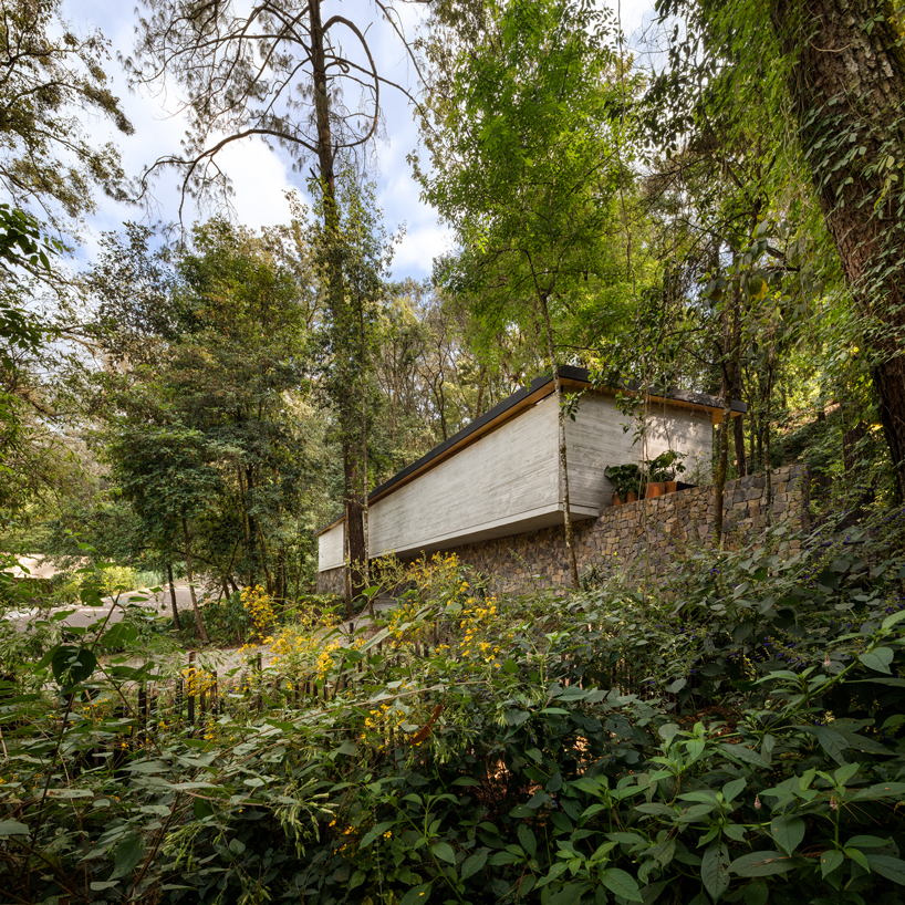 casa el pinar a sustainable wood house hidden in the forest 1
