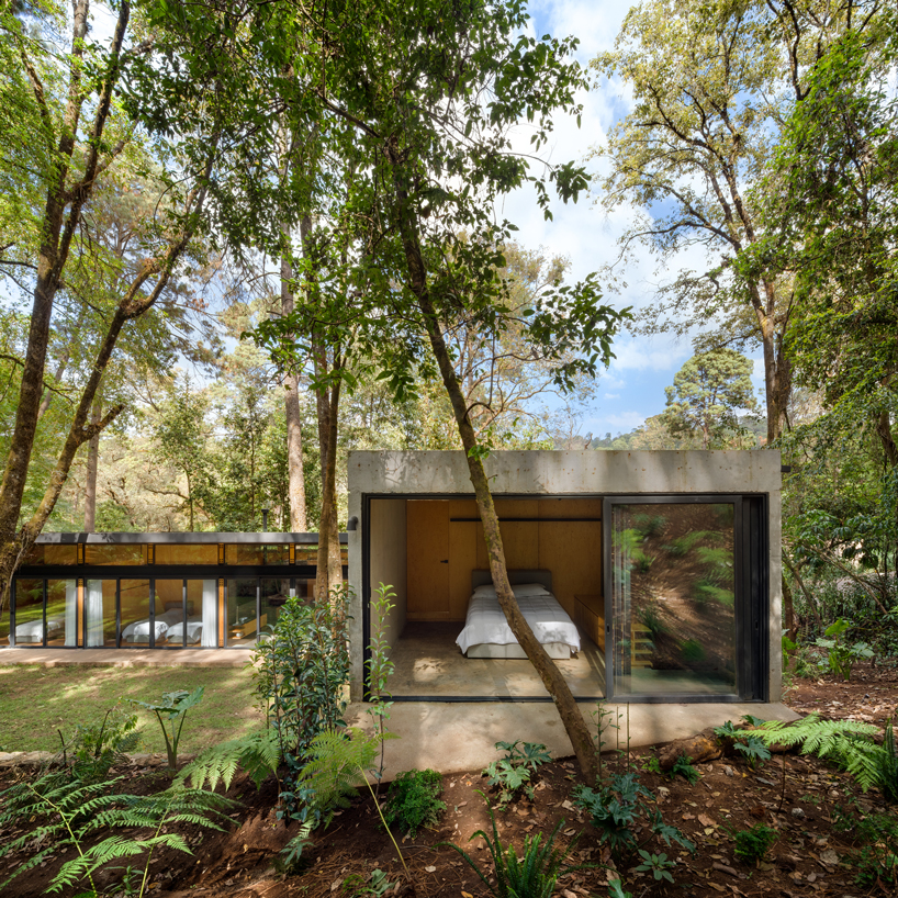 casa el pinar a sustainable wood house hidden in the forest 11