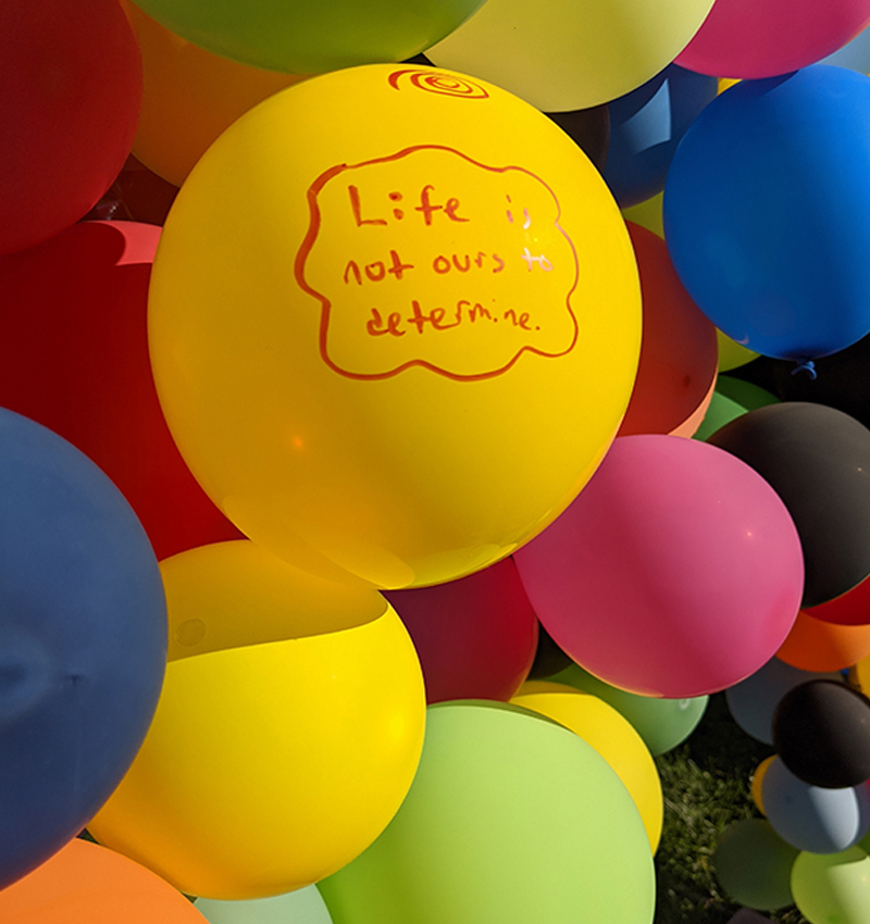 bethany 2022 reanimates extinct animal pyrenean ibex 10