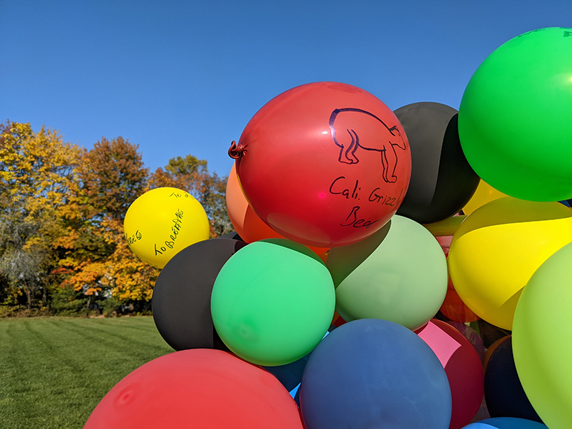 bethany 2022 reanimates extinct animal pyrenean ibex 9