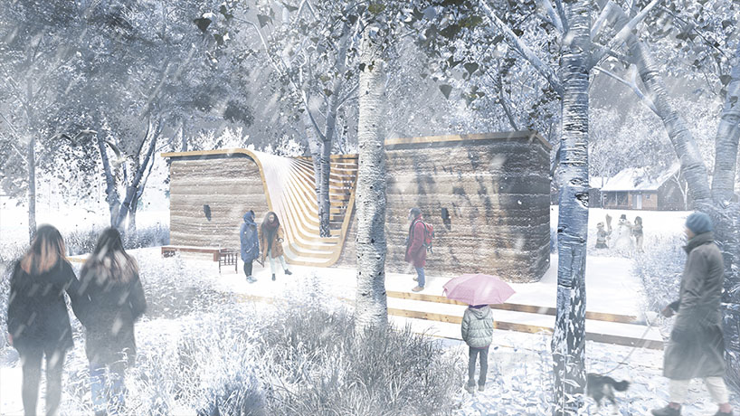 house for humans and a tree 3