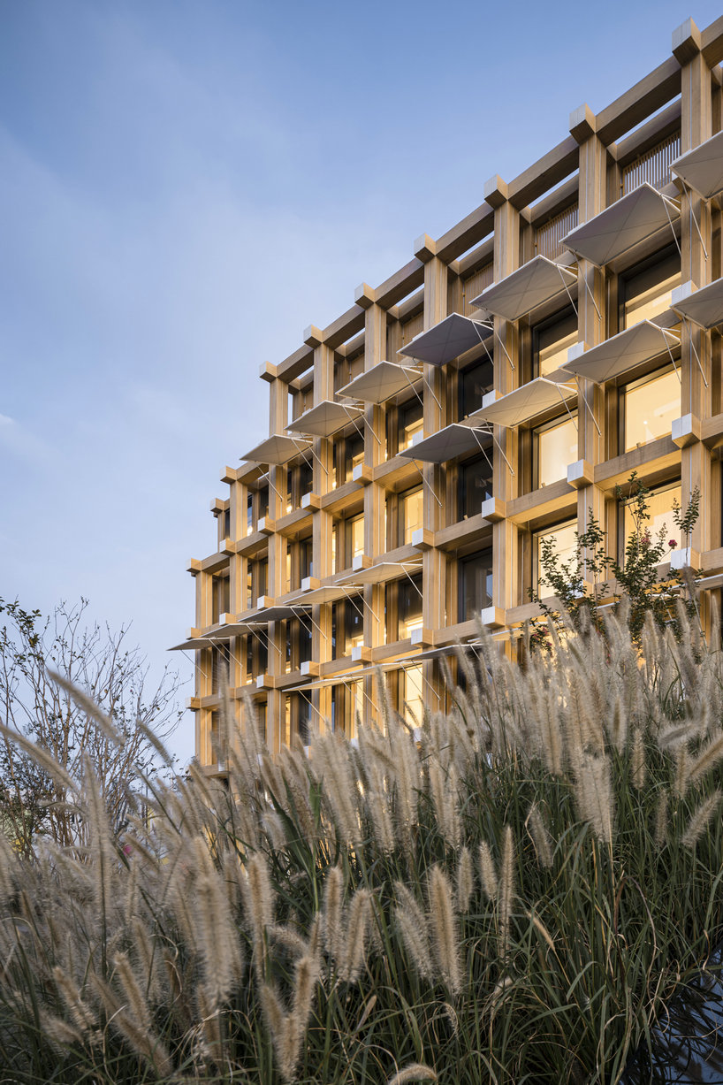 shaoxing rice wine town reception room 8