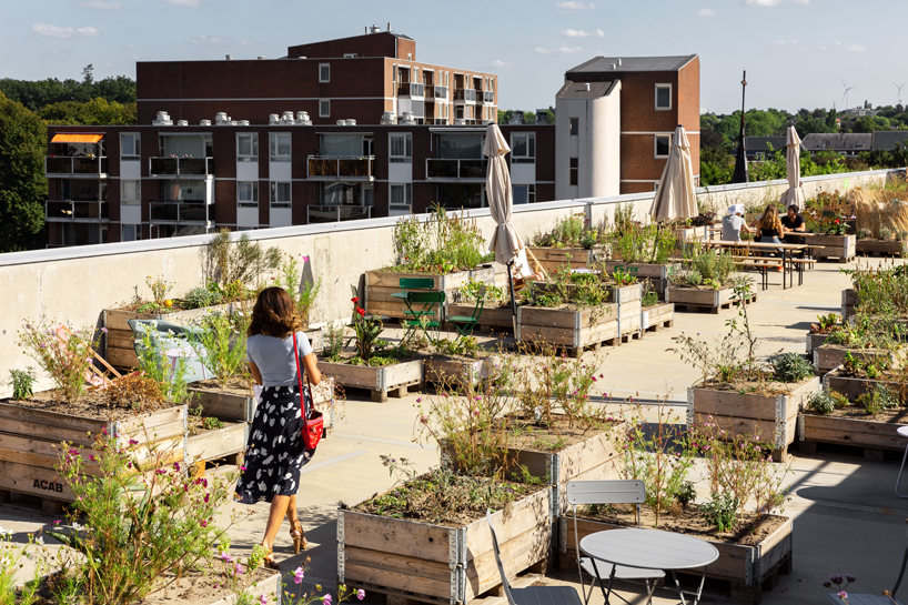 selvatico transforms car park rooftop into lively urban garden in the heart of heerlen