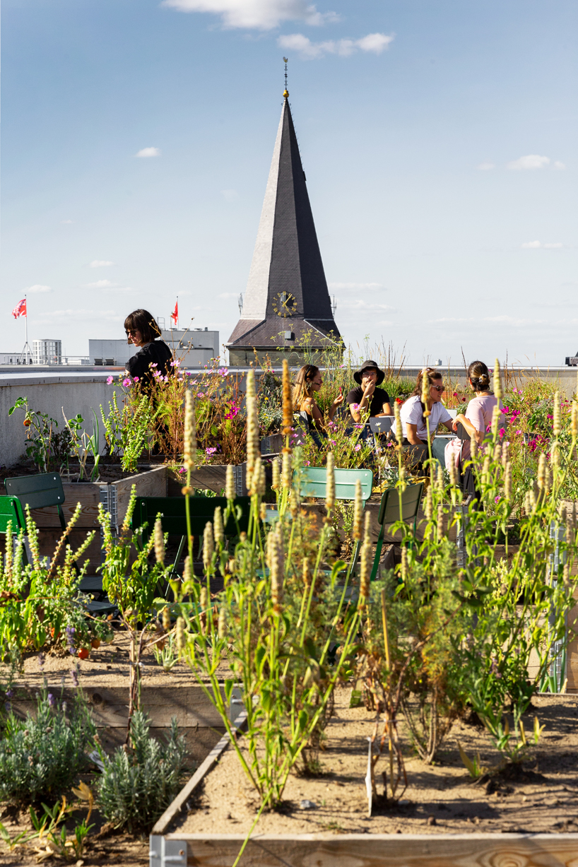 selvatico transforms car park rooftop into lively urban garden in the heart of heerlen