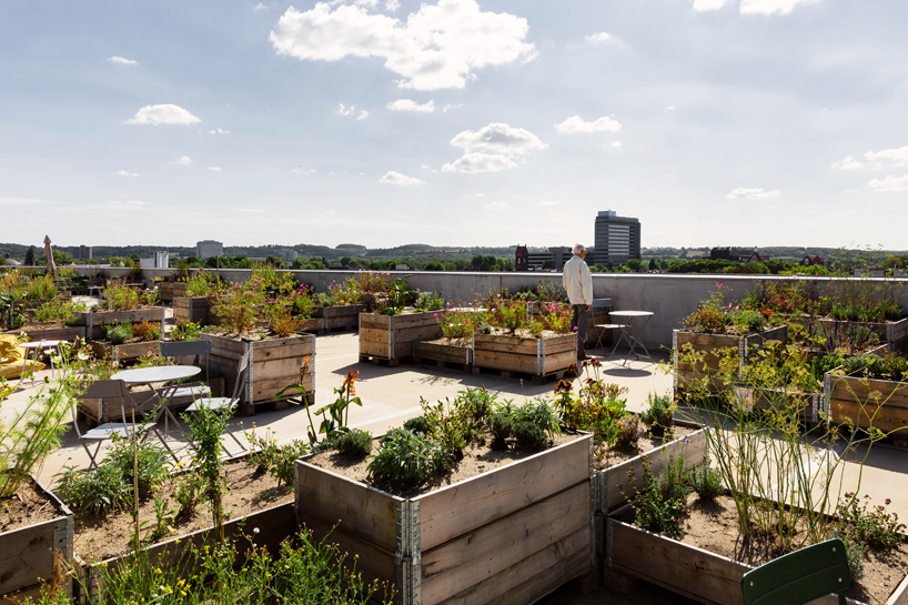selvatico transforms car park rooftop into lively urban garden in the heart of heerlen