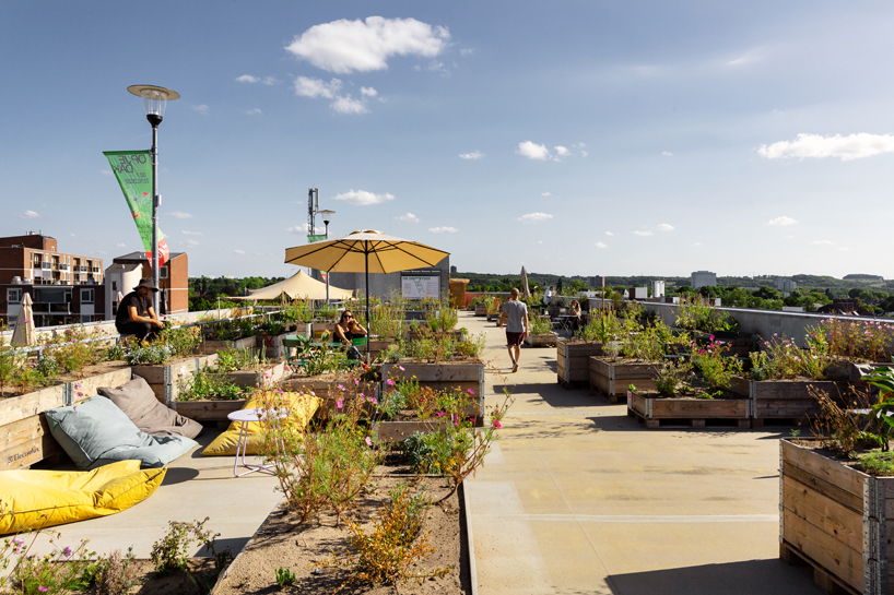 selvatico transforms car park rooftop into lively urban garden in the heart of heerlen