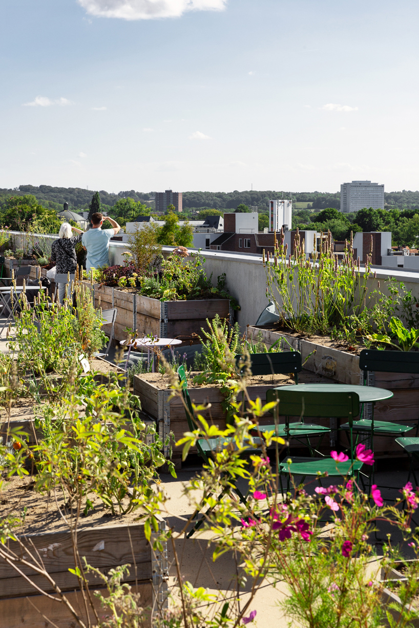 selvatico transforms car park rooftop into lively urban garden in the heart of heerlen