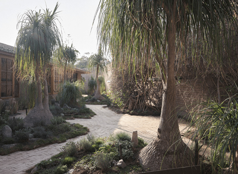 this peruvian home by augusta pastor and santiago roose weaves oases + sculptural fauna micro-ecosystems in tranquil garden