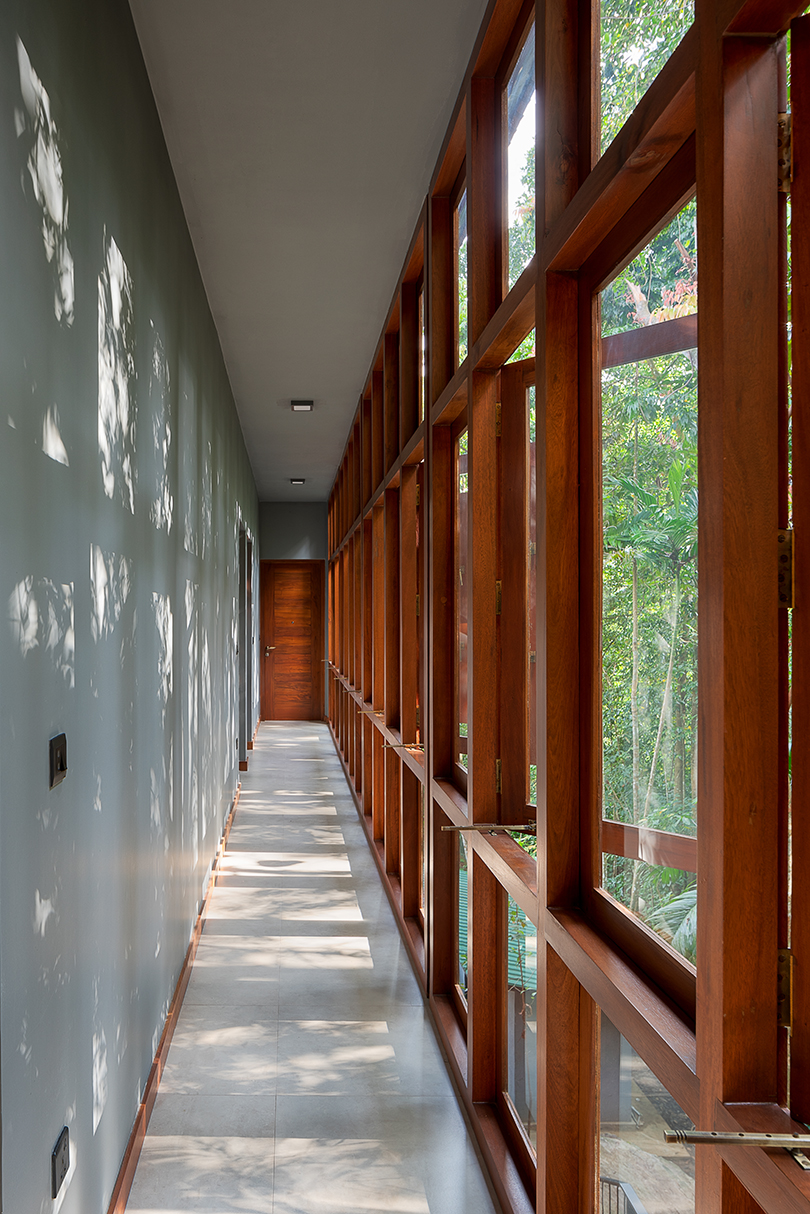 seamless regeneration in the jungle 10