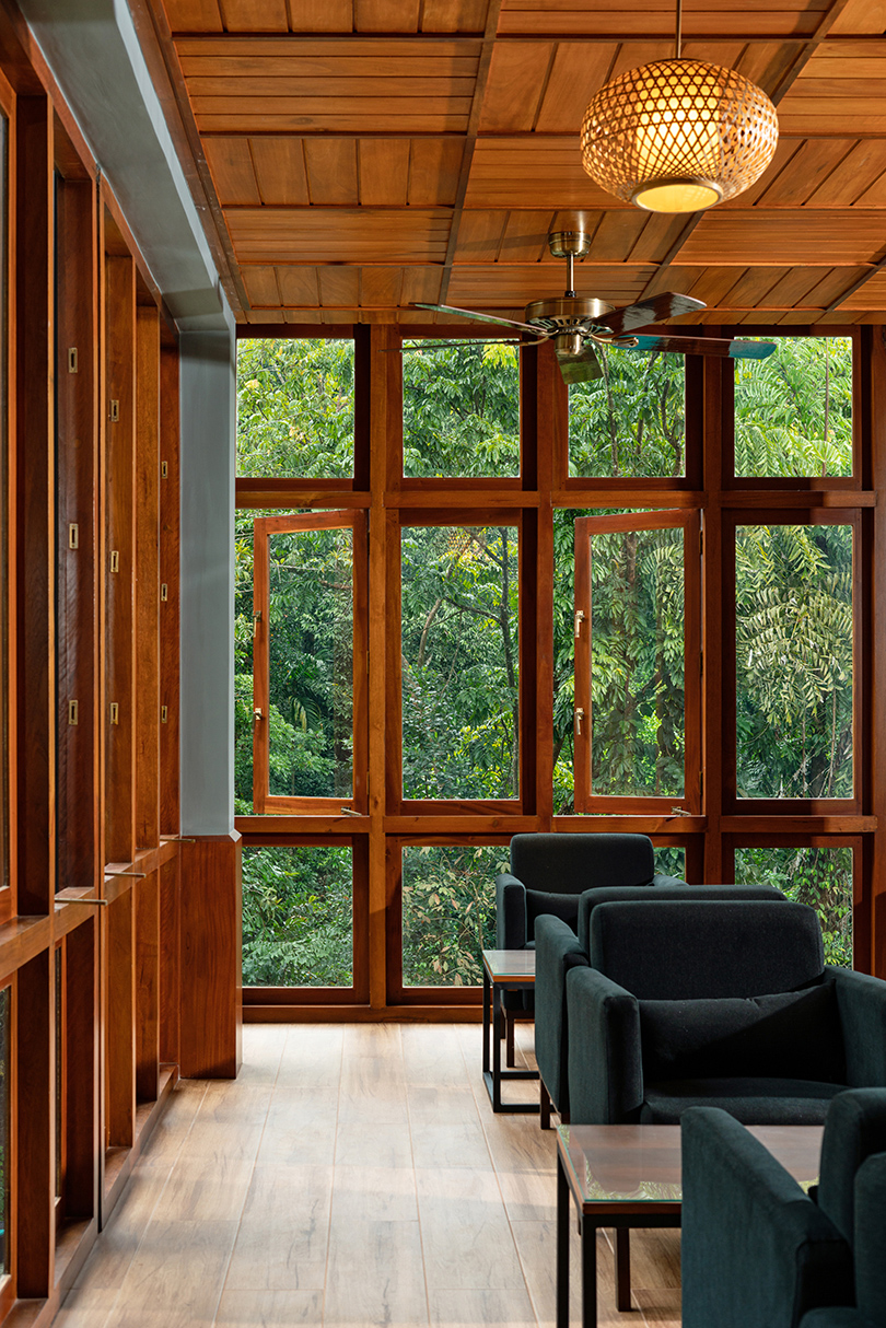 seamless regeneration in the jungle 11