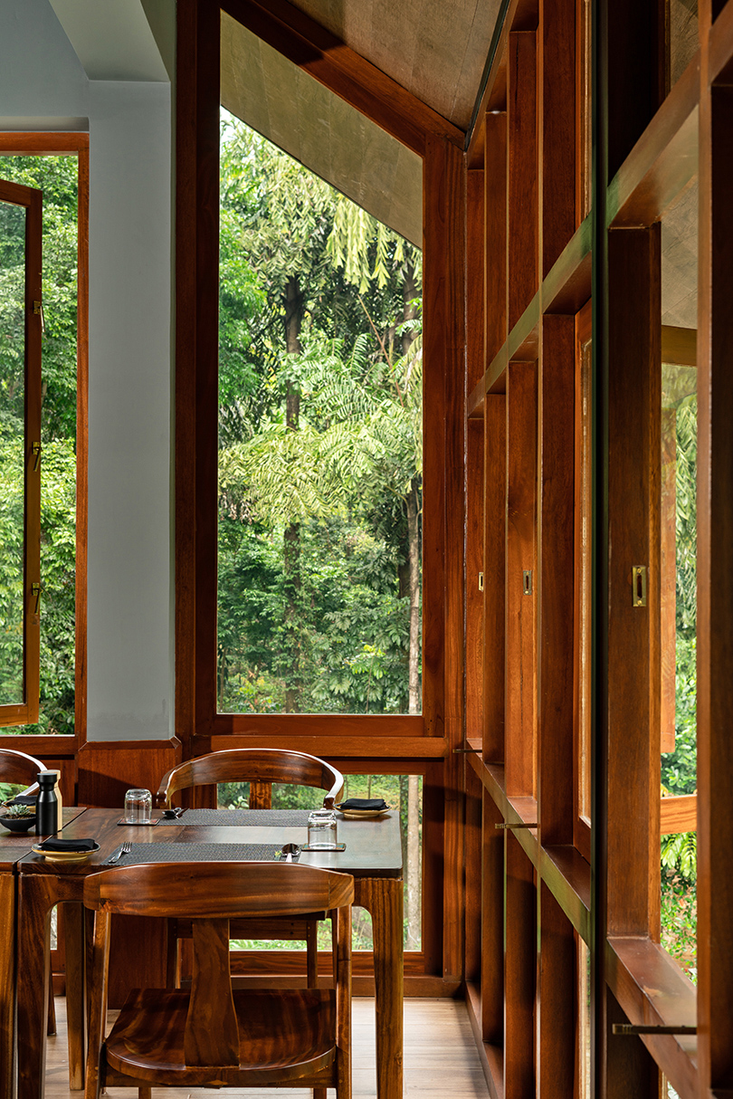 seamless regeneration in the jungle 12