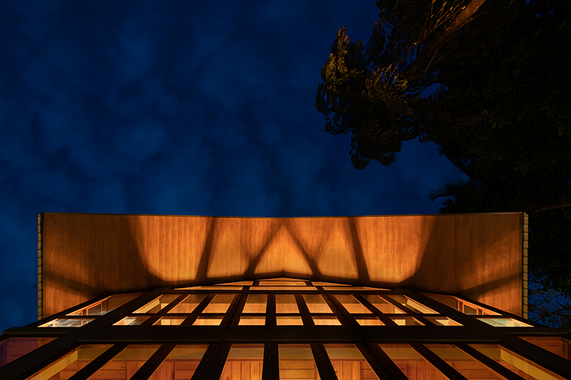 seamless regeneration in the jungle 3