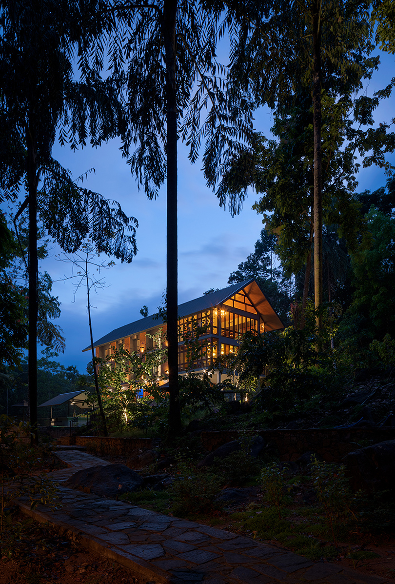 seamless regeneration in the jungle 4