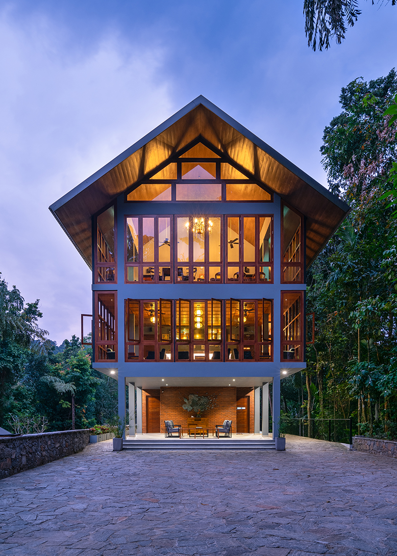 seamless regeneration in the jungle 5