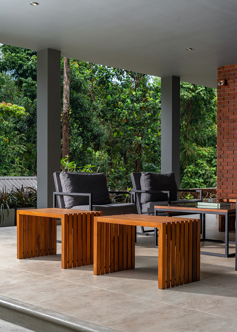 seamless regeneration in the jungle 6