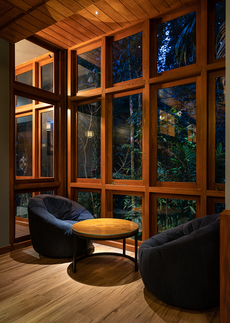 seamless regeneration in the jungle 9