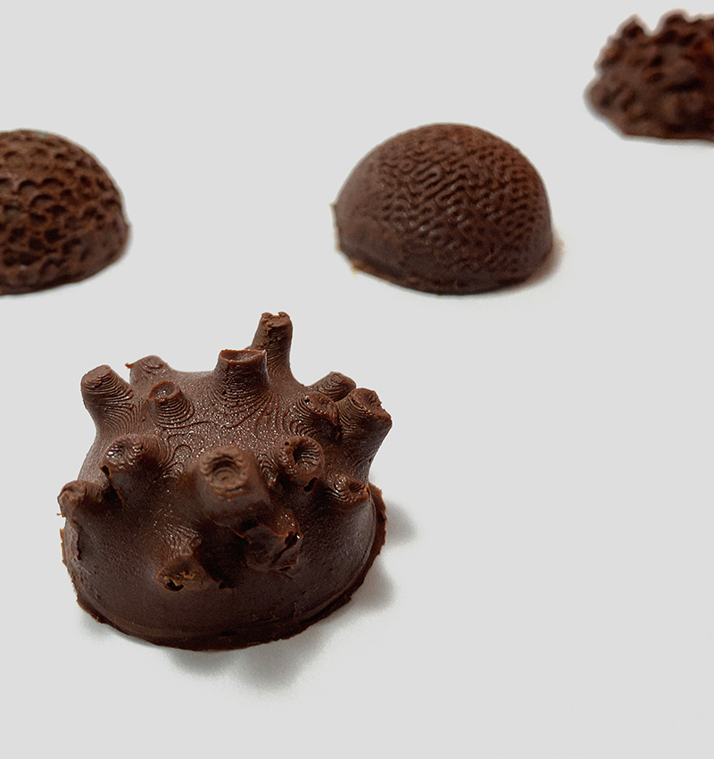 chocoral chocolate and packaging design 1