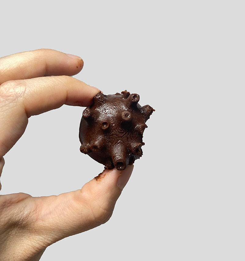 chocoral chocolate and packaging design 4