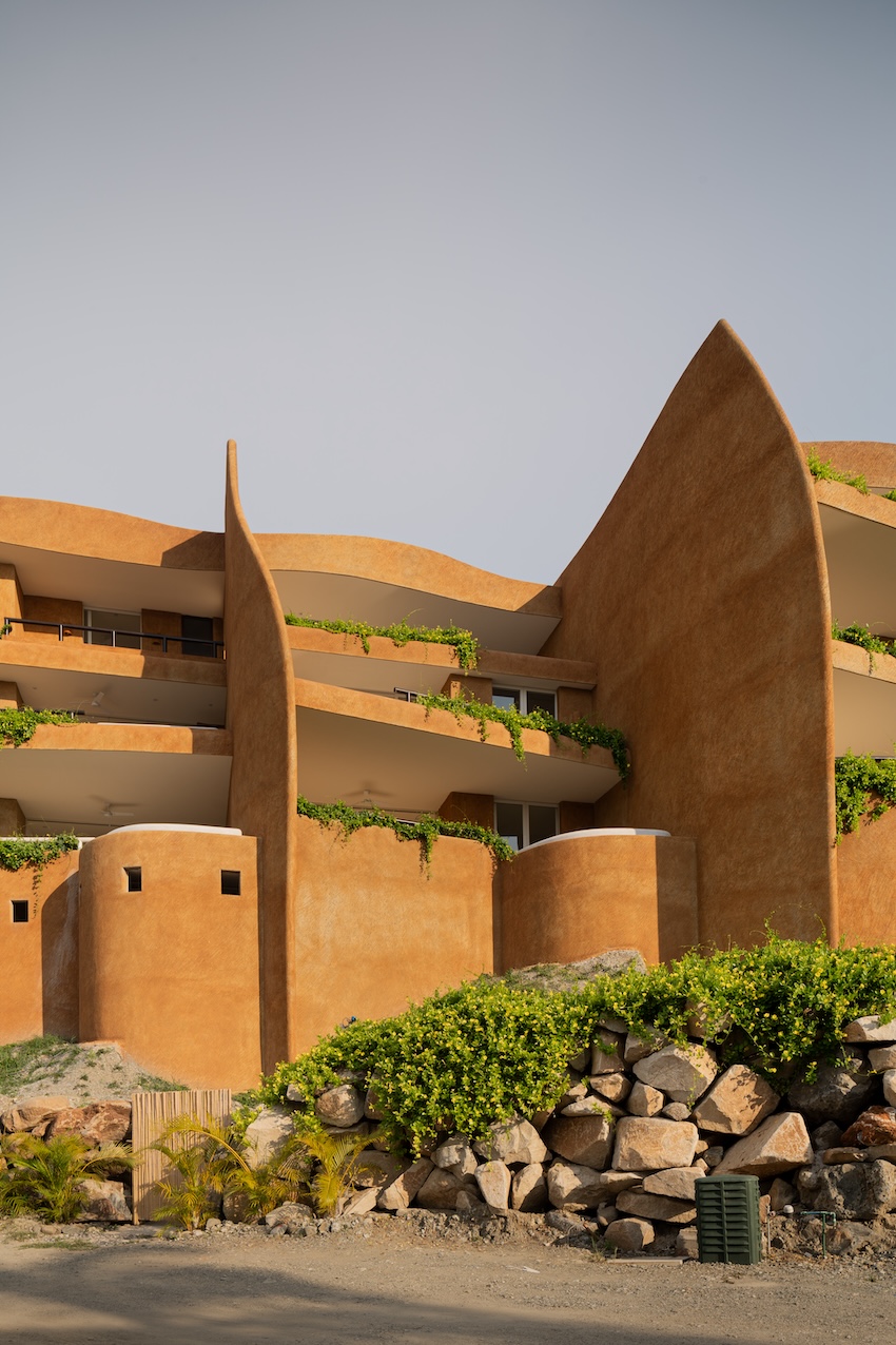 zozaya arquitectos' 'armadillo' residences in mexico capture curves of its namesake creature